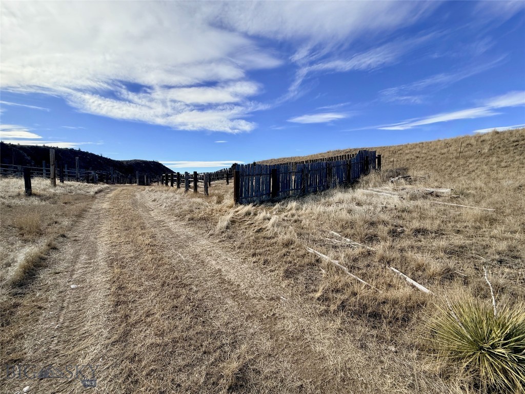 Ponderosa Pines - Land