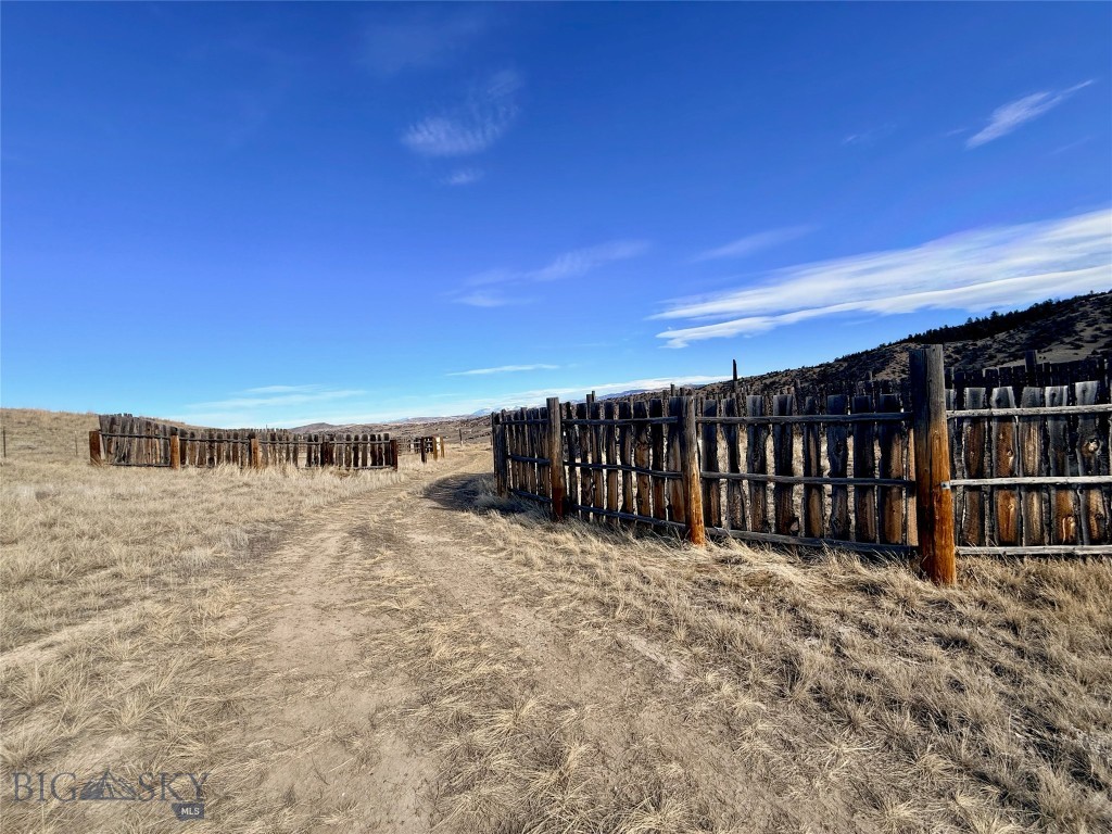 Ponderosa Pines - Land
