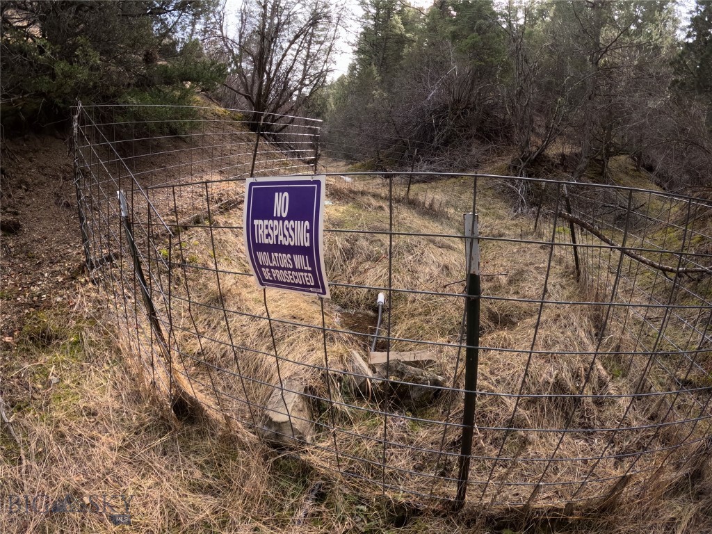 Ponderosa Pines - Land