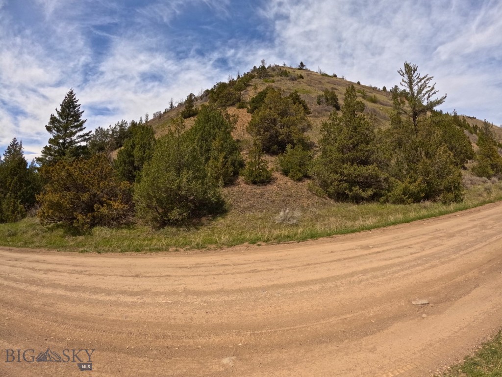Ponderosa Pines - Land