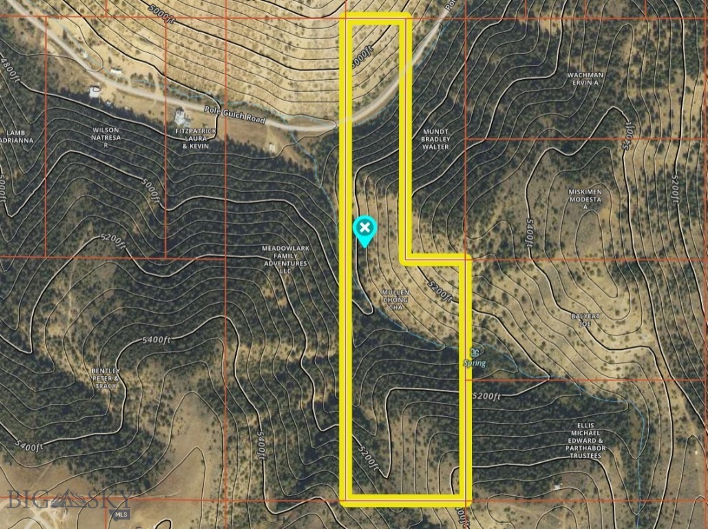 Ponderosa Pines - Land