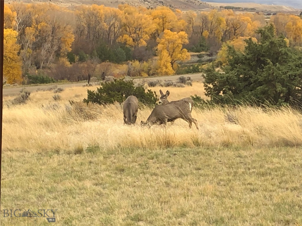 River Run - Residential