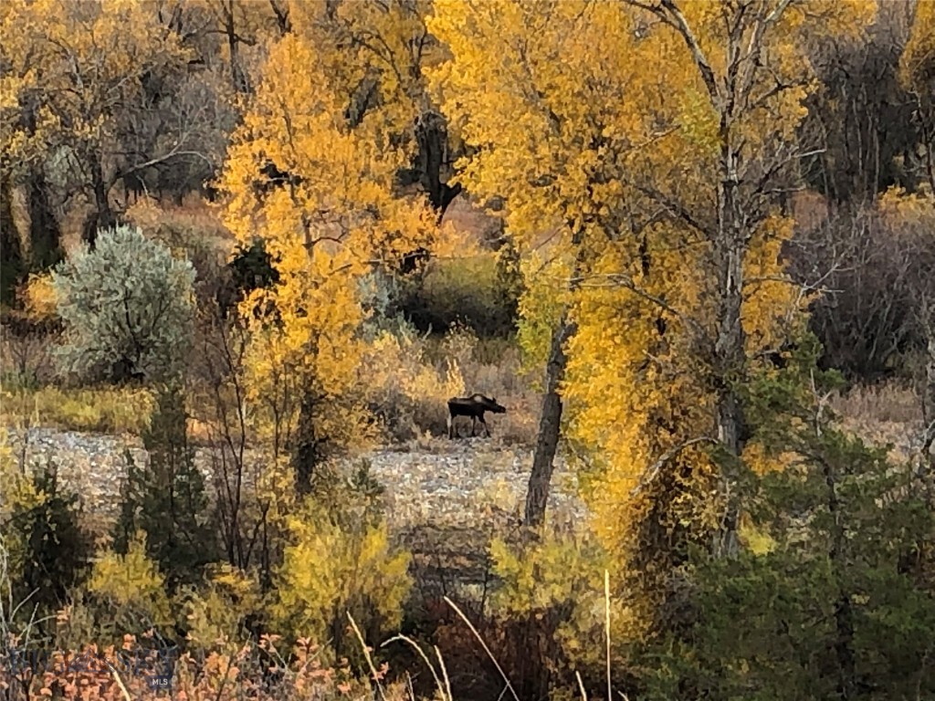 River Run - Residential