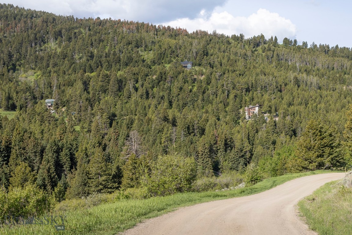 Timberline Creek - Residential