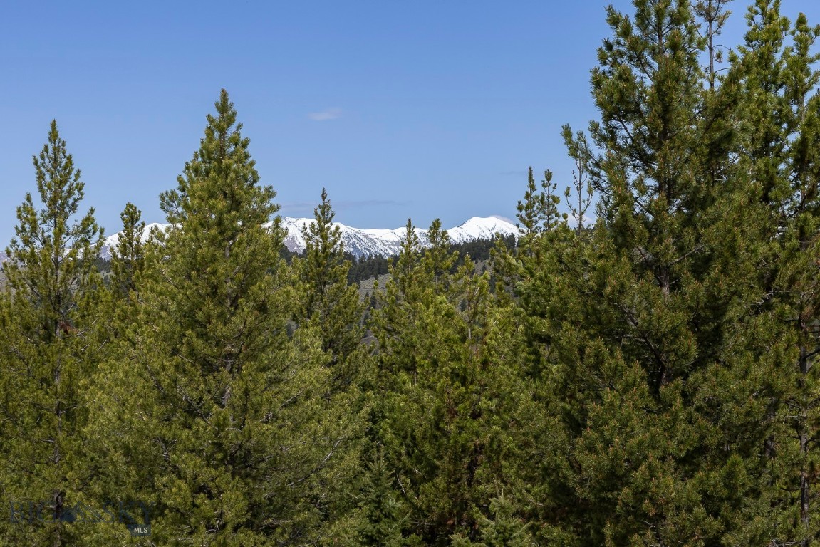 Timberline Creek - Residential