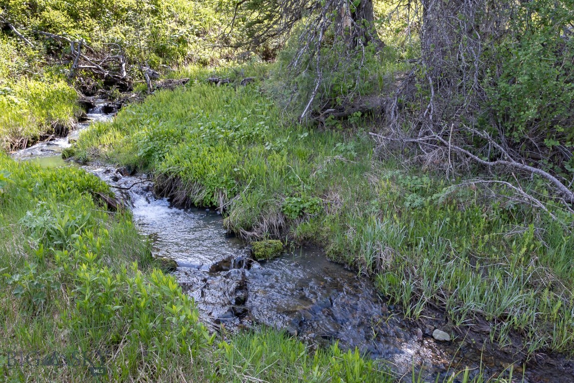 Timberline Creek - Residential