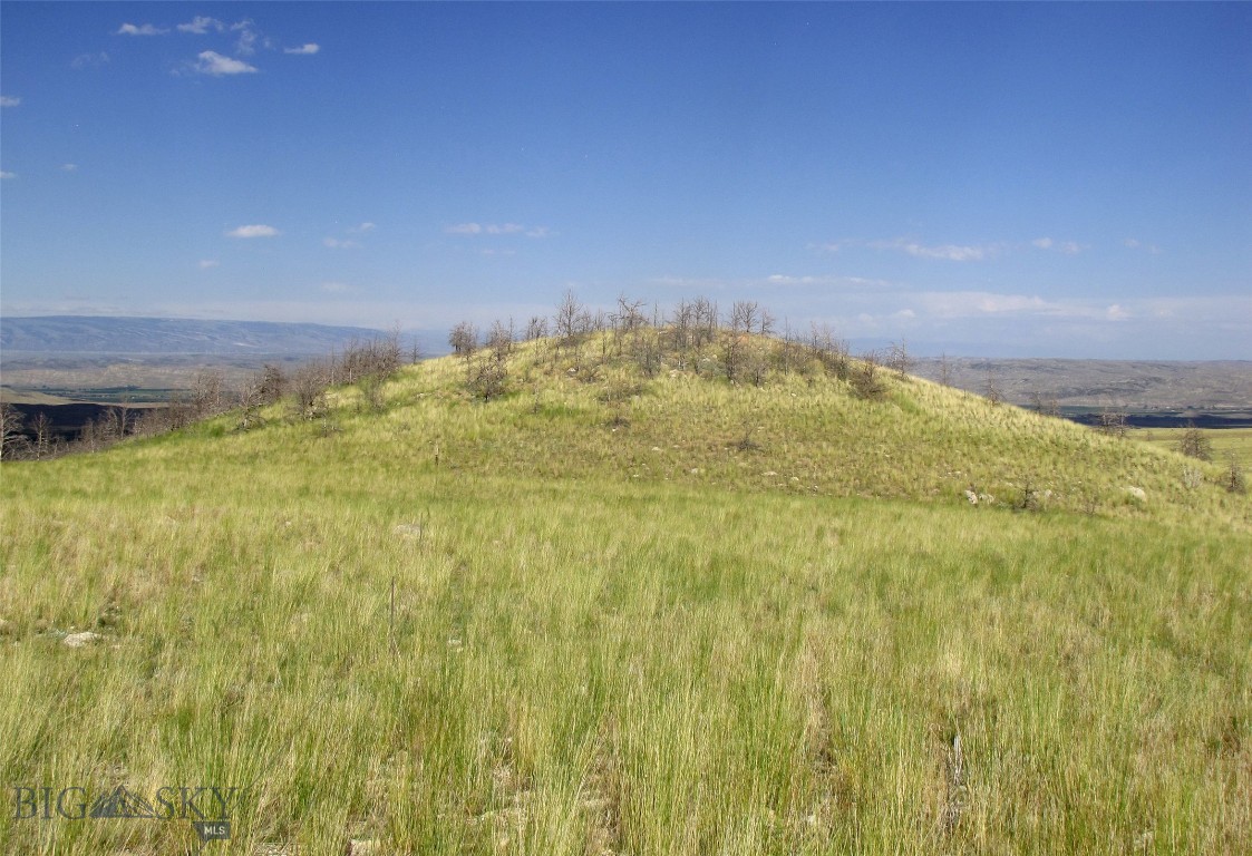 Other - Land