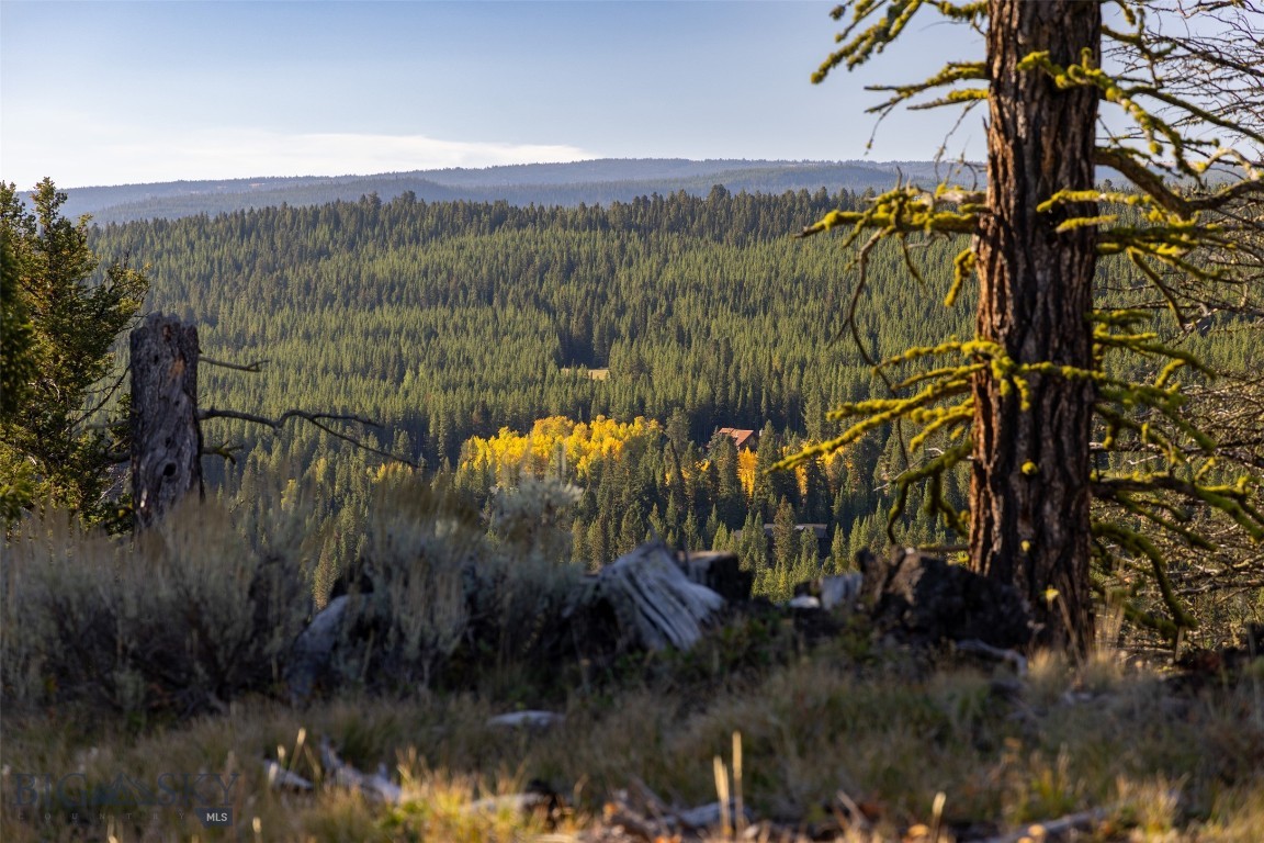 Antler Ridge - Land