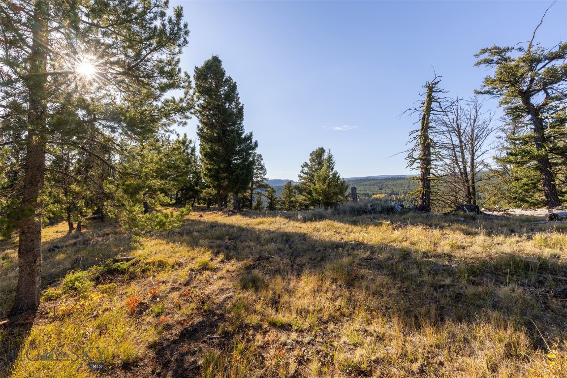 Antler Ridge - Land