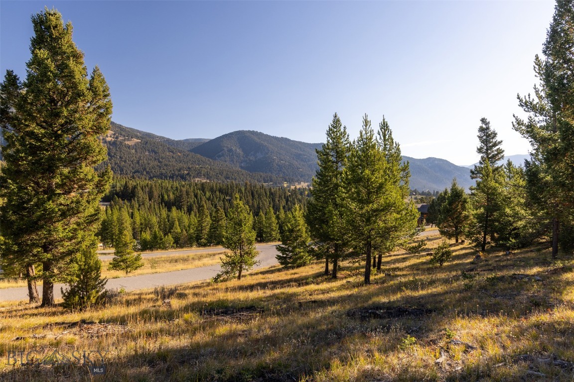 Antler Ridge - Land