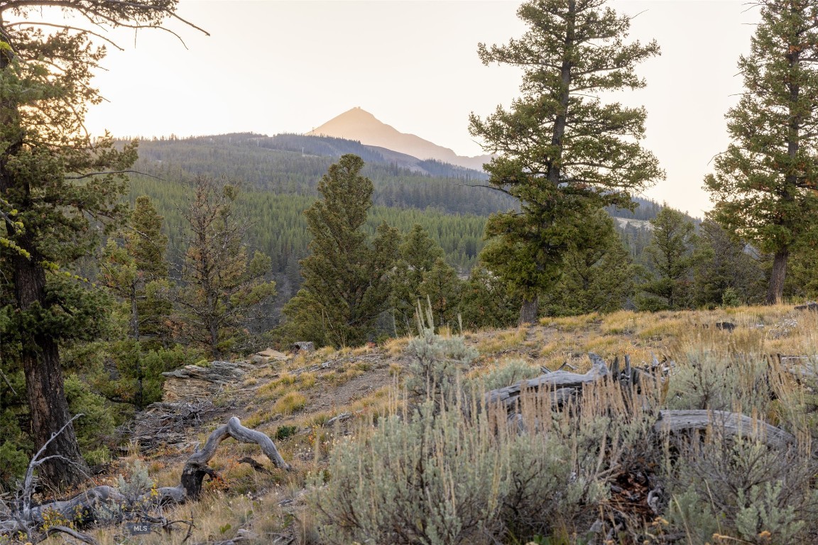 Antler Ridge - Land