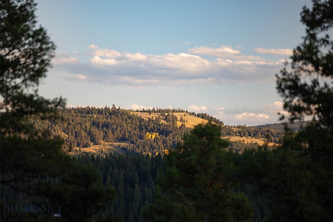 Antler Ridge - Land