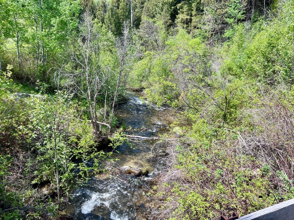 NHN Lost Creek Rd