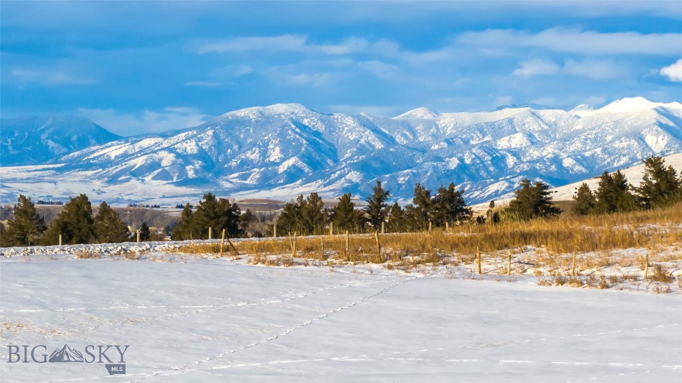 Bear Creek Properties - Land