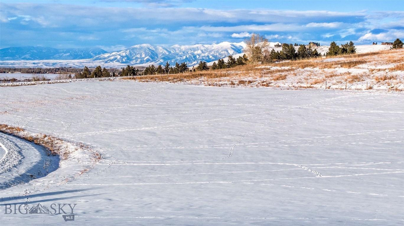 Bear Creek Properties - Land