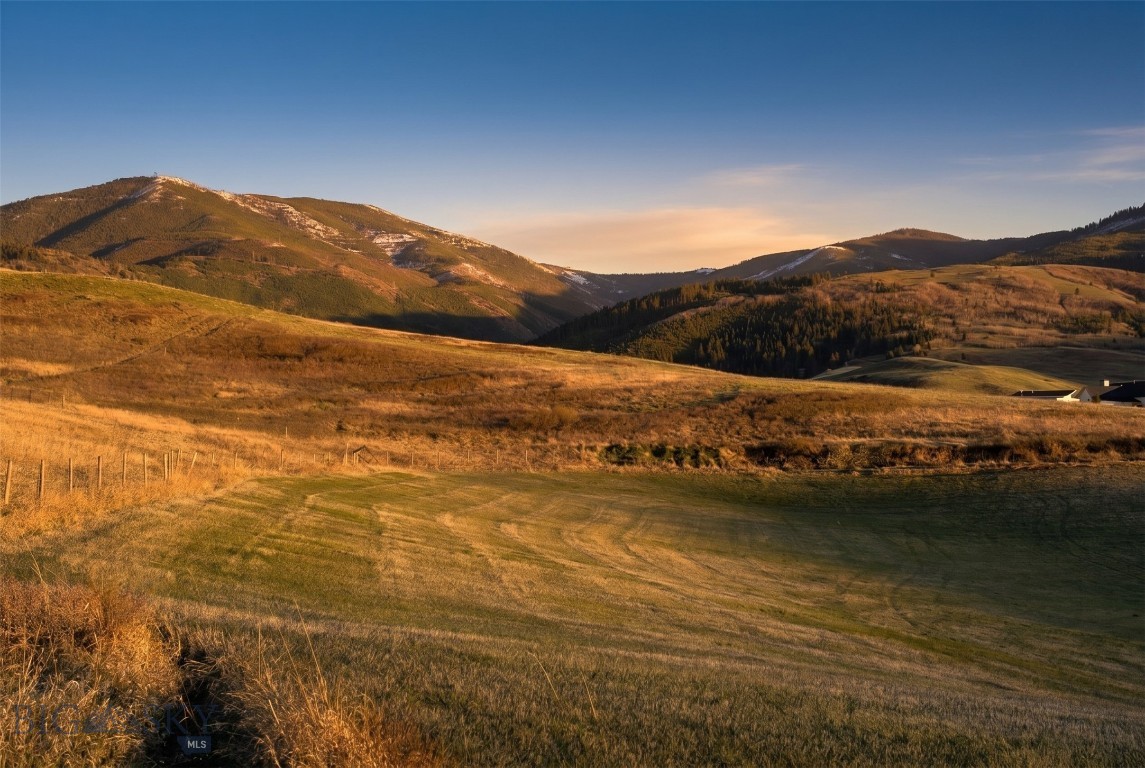 Bear Creek Properties - Land
