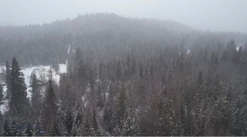 Photo of 121 Twin Creek, MT 59830 (MLS # 408150)