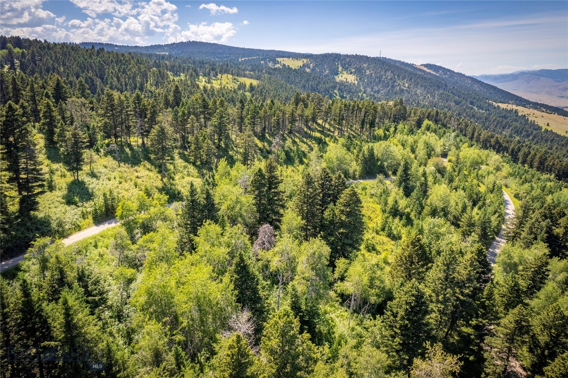 Yellowstone Basin Properties - Land
