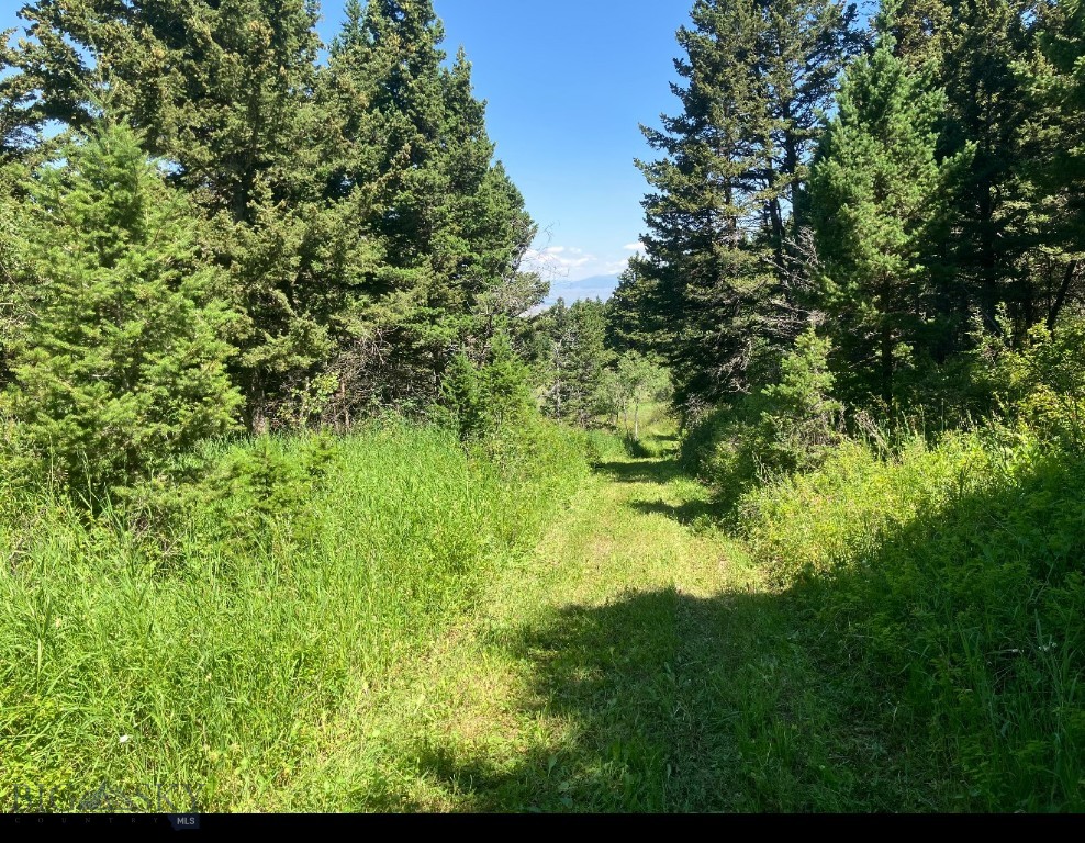 Yellowstone Basin Properties - Land
