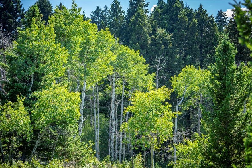 Great price on a spectacular Montana 20 acres! This is a property with an abundant eco system comprised of Aspen groves, Pine trees, meadows, wildflowers, native grasses, and I refer to it as an "environment" property out of the wind with nature views.  Cabin build sites are amongst the Aspens and Pines, with a reputation of a healthy moose population and a splendid variety of native animals (Great Horned Owl was at my 1st visit)  There is a developed spring fed water system up the road that the owners have access to, for domestic water with a cistern system. The access is good for most of the year and seasonal unless a track machine is your method of winter travel - neighbor lives full time.  The Peak road goes through the property allowing for multiple build site opportunities with a private road recently mowed to make it into the Aspen meadow.  Views of the Crazy Mountains and Livingston (8 miles away).  Forest service trailhead and trails for miles are very near.  Low taxes - $6.52 a year.  Come see what this property has to offer for your MT getaway!
