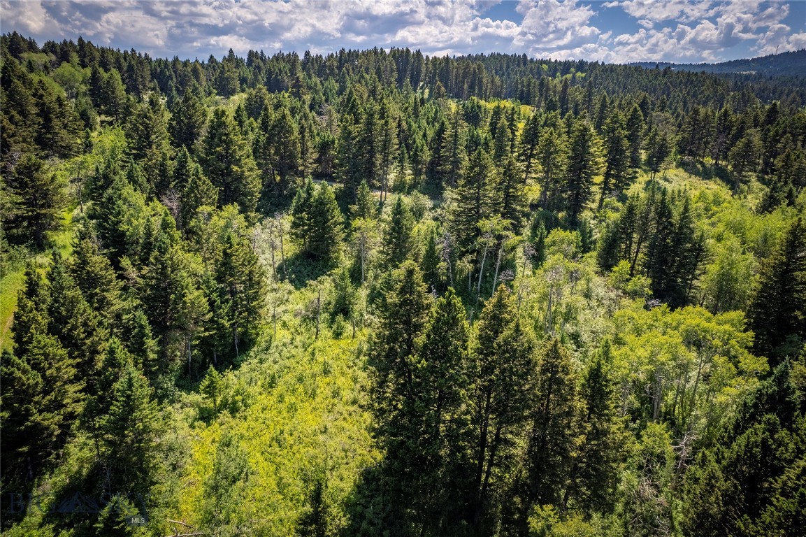Yellowstone Basin Properties - Land