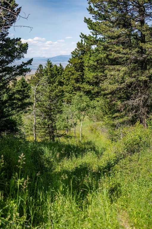 Yellowstone Basin Properties - Land