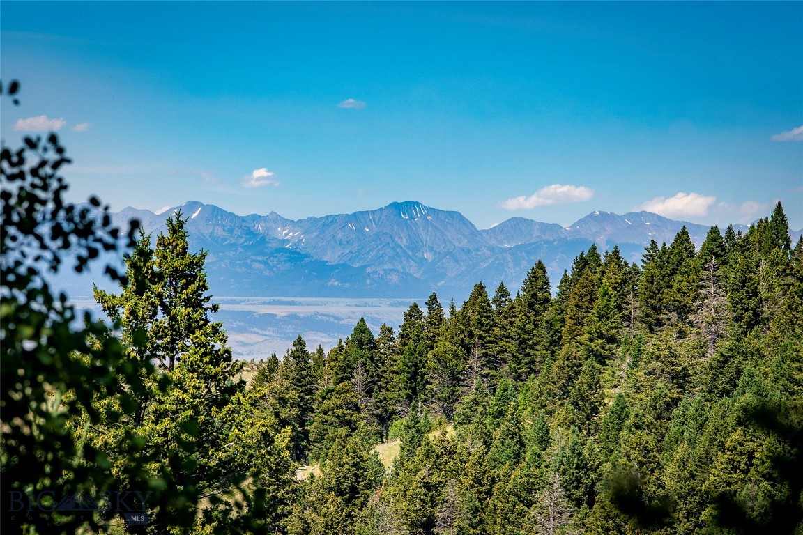 Yellowstone Basin Properties - Land
