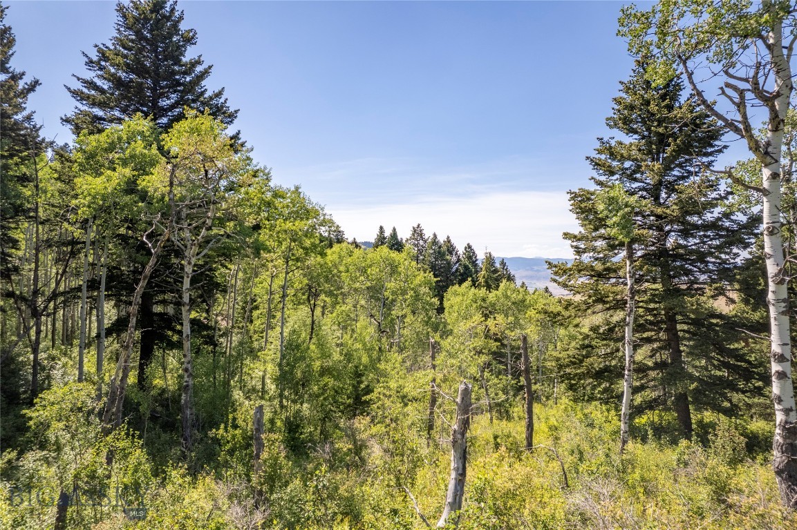 Yellowstone Basin Properties - Land