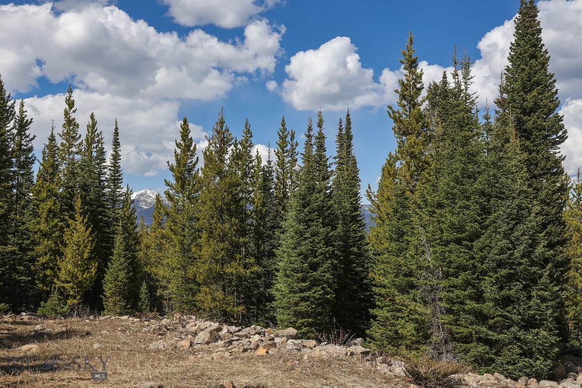 Beaver Creek West - Land