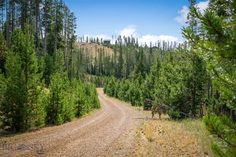 Photo of NHN Miners Road, Anaconda, MT 59711 (MLS # 405969)