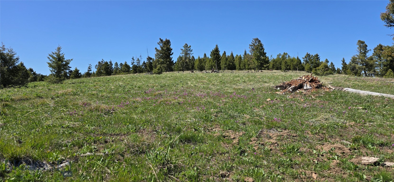 160+/- Acres of Off-Grid Potential – Land for Sale near Drummond, MT. This tract in the Garnet Range near Drummond, Montana offers the ultimate off-grid living opportunity. With seasonal springs, rolling hills, and multiple building sites, this property is ideal for those looking to buy land in Drummond MT for recreation in Granite County. Abundant wildlife makes this a standout option for those searching for recreational land. Whether you’re dreaming of a seasonal homestead, agricultural use, or a private getaway, this property for sale offers the space and seclusion you need. The land features gravel road access, private road frontage, and is suitable for horses. With its mountain setting and natural water sources, this off-grid property presents a unique chance to own a slice of Montana paradise. Don’t miss out on this Montana acreage for sale—perfect for those looking to purchase recreational land, build a seasonal cabin, or simply enjoy wide-open skies in a peaceful setting.