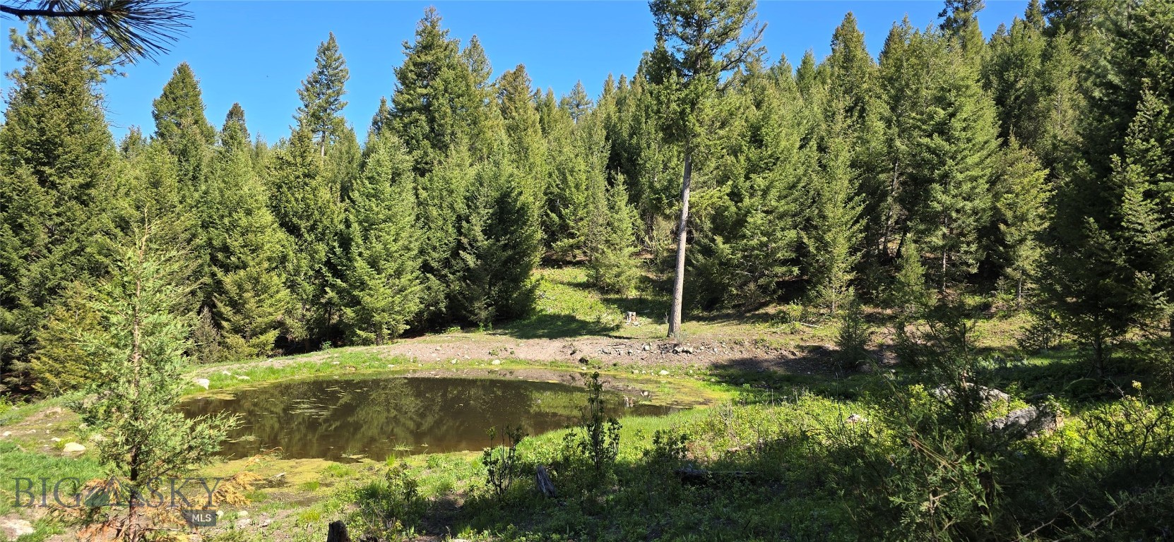 Discover your private Montana retreat on 160 +/- acres of secluded and private land nestled in Big Sky Country. Improved roads! This off-grid Montana property features seasonal spring and pond, wildflowers, wooded and meadow terrain, and borders Forest Service land—making it a wildlife and nature lover’s paradise. With stunning mountain, valley views, and unique rock outcroppings, it’s ideal for building your dream home in Montana or investing in Montana land. Located in Drummond, MT, this Granite County real estate offers gravel road access, horses and livestock are allowed, and is perfect for hunting and/or recreational purposes. Owner financing available for this rare opportunity in Western Montana.