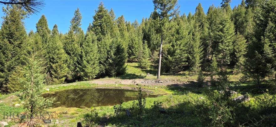 Discover your private Montana retreat on 160 +/- acres of secluded and private land nestled in Big Sky Country. Improved roads! This off-grid Montana property features seasonal spring and pond, wildflowers, wooded and meadow terrain, and borders Forest Service land—making it a wildlife and nature lover’s paradise. With stunning mountain, valley views, and unique rock outcroppings, it’s ideal for building your dream home in Montana or investing in Montana land. Located in Drummond, MT, this Granite County real estate offers gravel road access, horses and livestock are allowed, and is perfect for hunting and/or recreational purposes. Owner financing available for this rare opportunity in Western Montana.