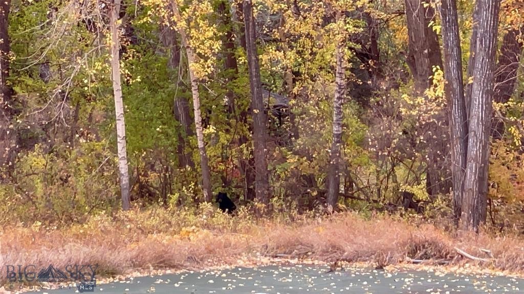 Thompson Additions - Land