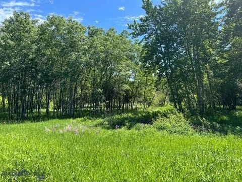 Photo of TBD Spring Creek Drive, Bozeman, MT 59715 (MLS # 409413)