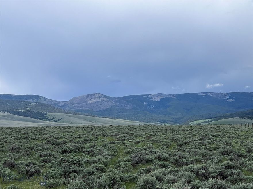 Located in the heart of Big Hole Country near the small quaint town of Wisdom, MT are a cluster of 20+ acre parcels that will make you an excellent location for your new home. Some parcels are bordered by a ranch under a conservation easement helping to protect magnificent mountain views, seclusion and privacy. Call listing agent for a full list of available lots!! Sub-division accessed by the county maintained Steel Creek Road, you are only minutes from National Forest lands adding tens of thousands of acres awaiting your exploration. The historic Big Hole Battlefield, Elkhorn Hot Springs, Jackson Hot Springs, Crystal Park, Chief Joseph Cross Country Ski Trails & Maverick Ski hill, Bannack State Park, Kayaking & Canoeing, River Rafting, and of course.....Montana Blue Ribbon Trout fishing could all be a part of your new playground. The properties have level ground, draws and gently sloping foothills creating interesting topography and power is available in the area and along some lot boundaries. In Montana you don't just buy a property - you purchase a new lifestyle. Don't miss this opportunity to begin your new life today.