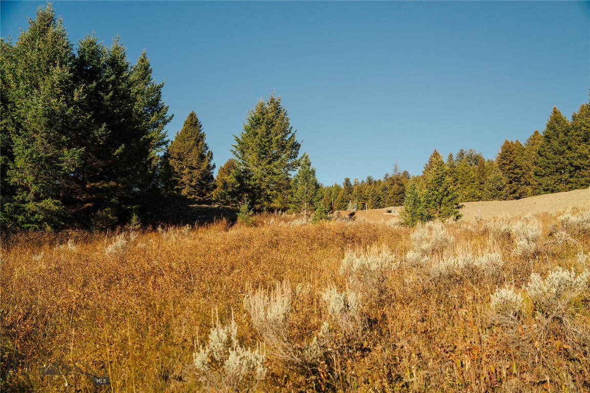 Upper Whitefish - Land