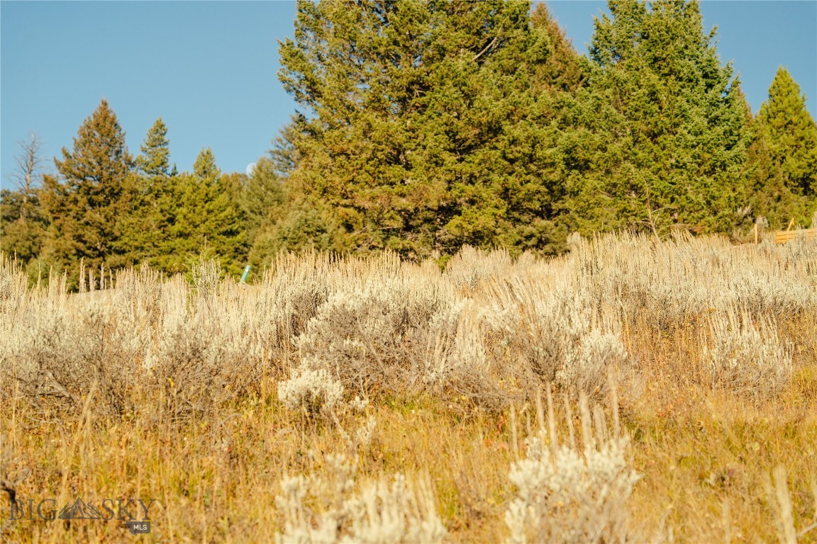 Upper Whitefish - Land