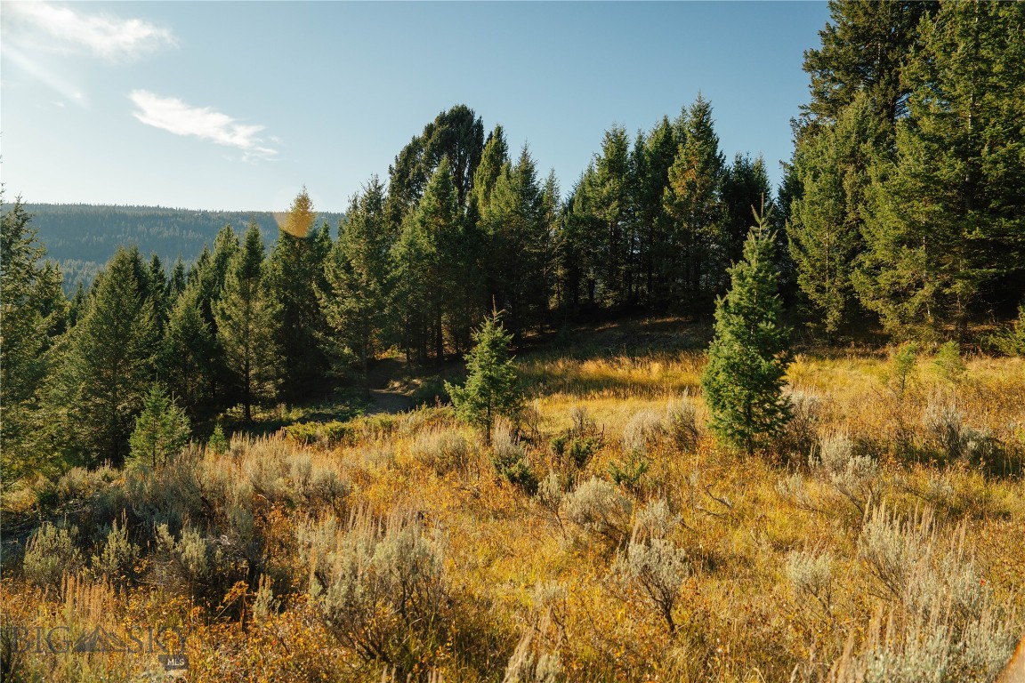 Upper Whitefish - Land