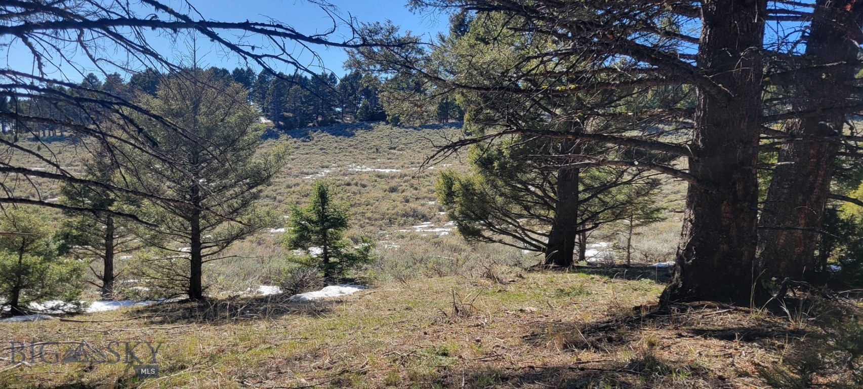 Other - Land