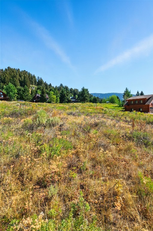 Yellowstone Holiday - Land