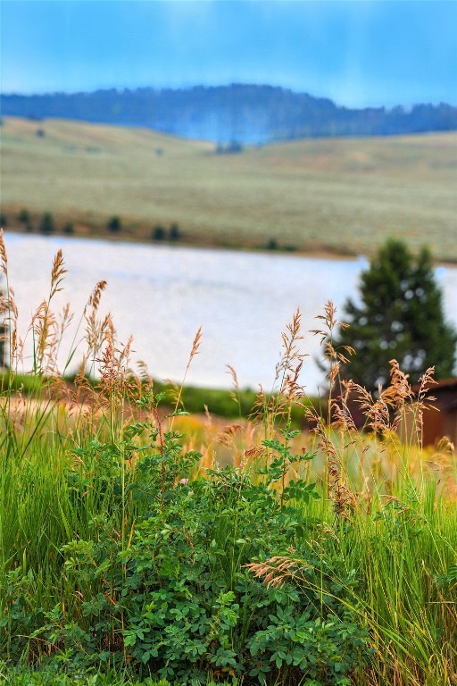 Yellowstone Holiday - Land