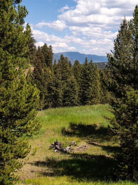 Ranches Neighborhood - Land