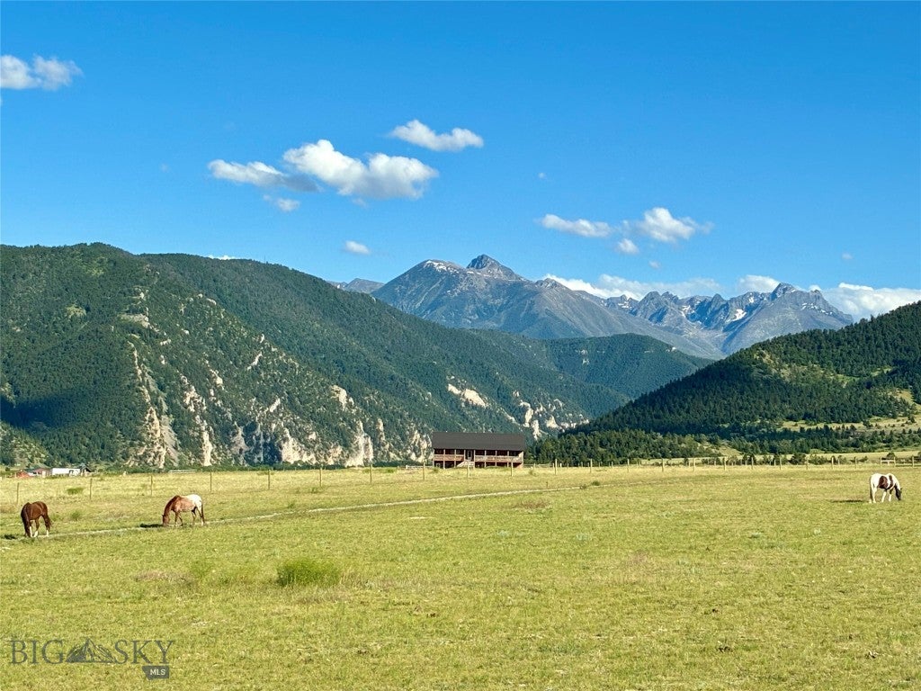 106 Buffalo Trail Road