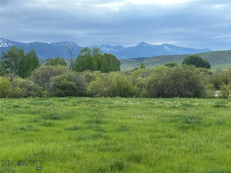 Great opportunity to own 590 acres outside of the Wilsall/Livingston area with gorgeous 360 degree views. This property is located in the heart of the Shields River Valley. It is nestled between the Bridger, Absaroka, and Crazy Mountains. This unique ranch offers exceptional access, with county roads bordering both sides and power readily available along 2 sides. Elk Creek runs the full length of the property, providing both scenic beauty and natural water resources. Additionally, a year-round spring feeds two stock water tanks.