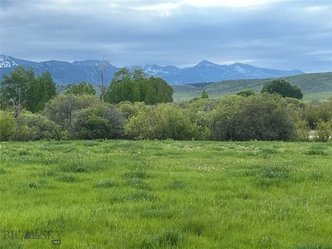 Photo of 000 Elk Creek Road W, Wilsall, MT 59086 (MLS # 398018)
