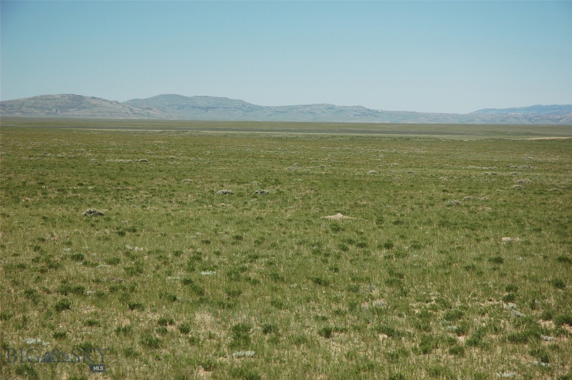 Other - Land