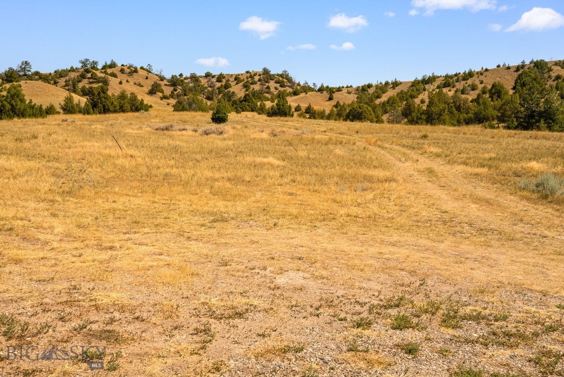 Ponderosa Pines - Residential