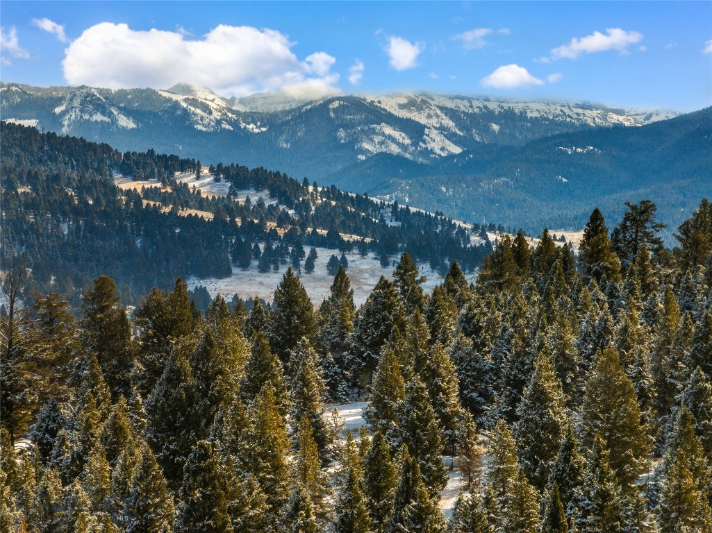 Blackfoot Hills - Land