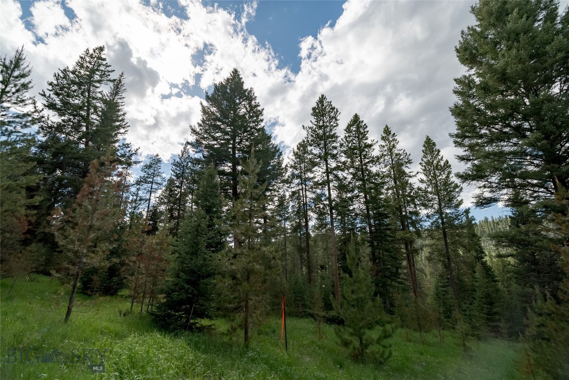 Lot 30 Colters Run Loop